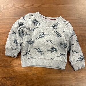 Carter's Gray Dinosaur Sweatshirt for Kids